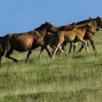 IMG_2902SSSS
